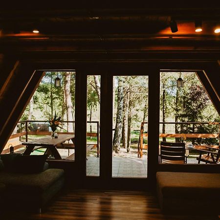 Mesa Summer House Zakrzewo  المظهر الخارجي الصورة