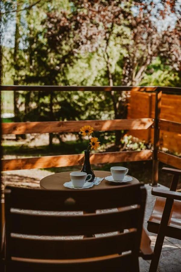 Mesa Summer House Zakrzewo  المظهر الخارجي الصورة