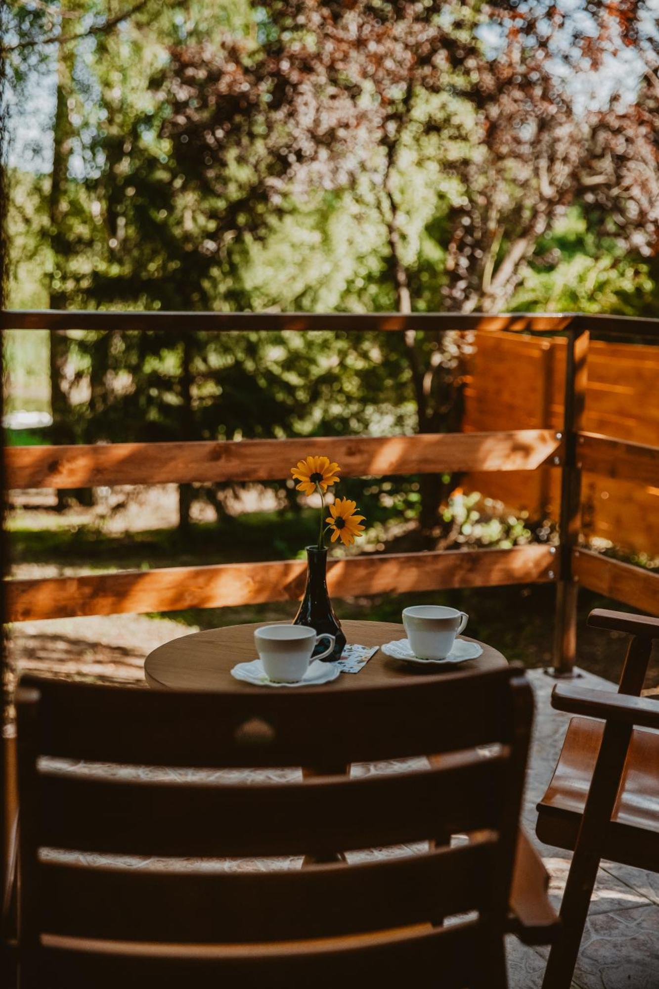 Mesa Summer House Zakrzewo  المظهر الخارجي الصورة